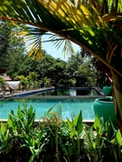 established freehold resort hotel - 3