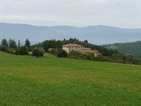 estate florence - 1