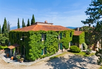 beautiful 180 hectare farm - 3