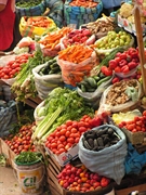 romanian vegetable processing business - 1