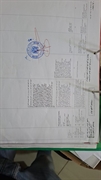 established egyptian joint stock - 1