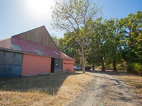 established commercial bodega set - 1