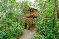 tree houses hotel the - 3