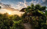 private jungle eco-lodge near - 1