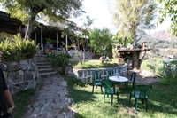 restaurant - 3