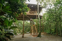 tree houses hotel the - 1