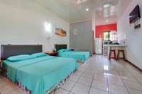 multi-units with proven rental - 3