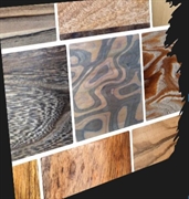 wood export business costa - 1