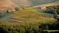 winery montalcino for sale - 3