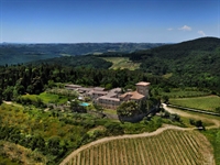 wine estate with castle - 3