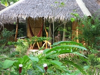 thriving eco resort dive - 2
