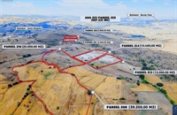 licensed cattle farm balikesir - 2