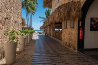 luxury beachfront resort dominican - 3