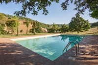 farmhouse with pool olive - 2