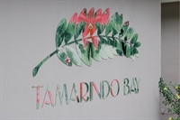 playa tamarindo's boutique hotel - 2