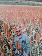 farm with development potential - 3