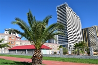 beachfront boutique hotel business - 2