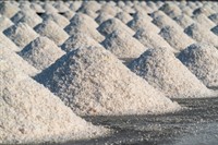 leading salt manufacturing business - 1