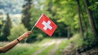 50-year-old swiss alps boarding - 1