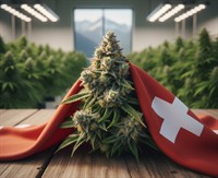 fully licensed swiss cannabis - 1