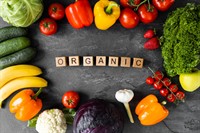 organic food producer exporter - 1
