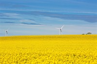 5mw operational wind farm - 1