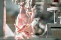 established meat production business - 1