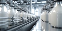 dairy processing factory - 1