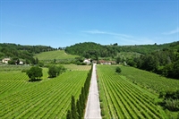 winery for sale with - 3