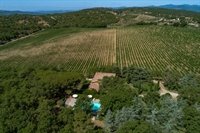 charming estate with vineyards - 2