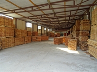 sawmill wood processing facility - 3