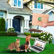 established pet e-commerce business - 1