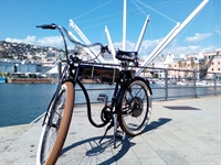 profitable established bike tourism - 1
