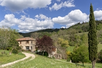 farmhouse with pool olive - 3