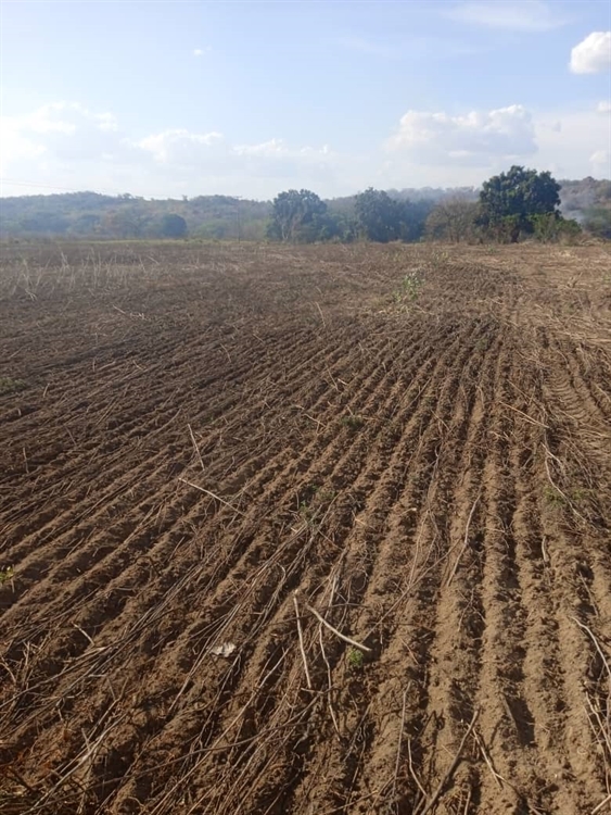 Buy a fertile 2,600 acre farm, 350.00 per acre in bolivar for sale