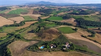 farm with vineyard montalcino - 2