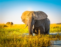 online african travel agency - 3