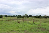 development agriculture business bagaces - 2