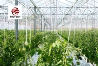 vegetable fruit production farm - 1