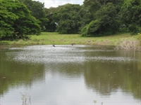 land for development papagayo - 3