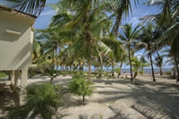 profitable established san pedro - 3