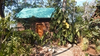 exceptional 5 star review - 3