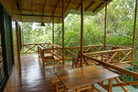 tree houses hotel the - 2