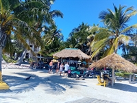 turnkey beachfront bar grill - 3