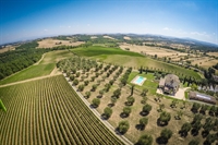 wine estate tuscany - 1