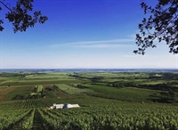 serbian vineyard winery - 3