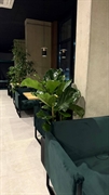 rare premium restaurant zakarpattia - 3