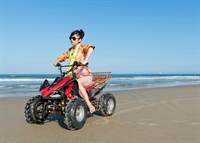 thriving tour company playa - 1