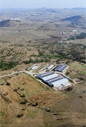 licensed cattle farm balikesir - 1