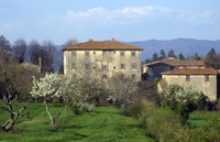 estate florence - 3